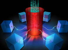 LIS: Integration vs. Interfacing