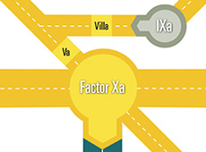 Coagualtion Cascade (Infographic)