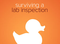 Surviving a Lab Inspection